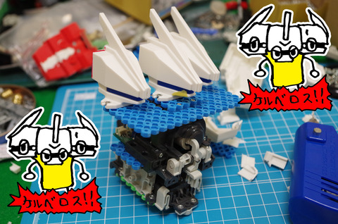 IMGP3551
