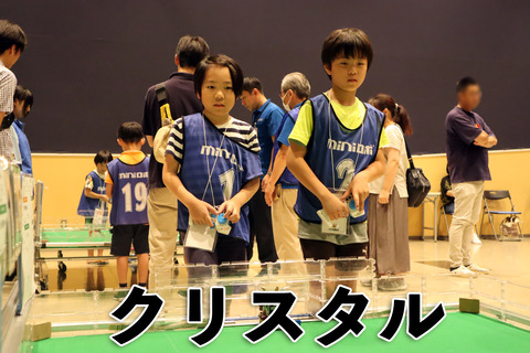 クリスタル (7) のコピー