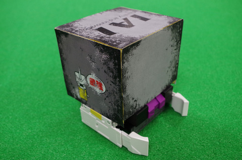IMGP2278