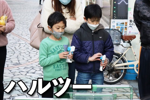 ハルツー のコピー