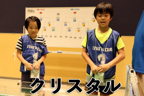 クリスタル (5) のコピー