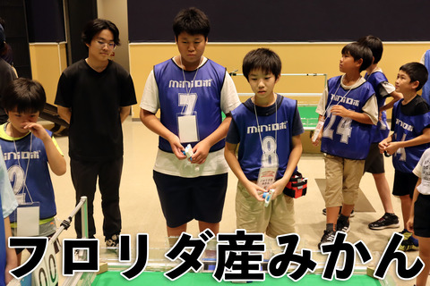 フロリダ産みかん (6) のコピー