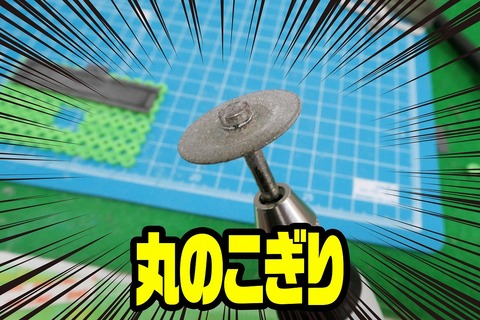 P1010924 のコピー