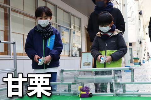 甘栗 のコピー