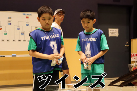 ツインズ (6) のコピー